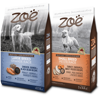Nouveau coupon Rabais A1O1 Gratuit Sur La Nourriture Pour Chats Et Chien Zoë !!!