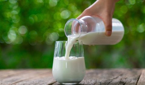 Testez gratuitement du lait sans lactose !