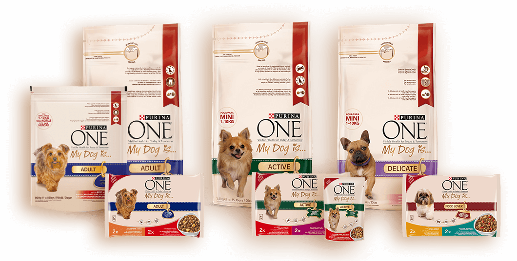 Un an de gâteries Purina pour chiens et chats à gagner !