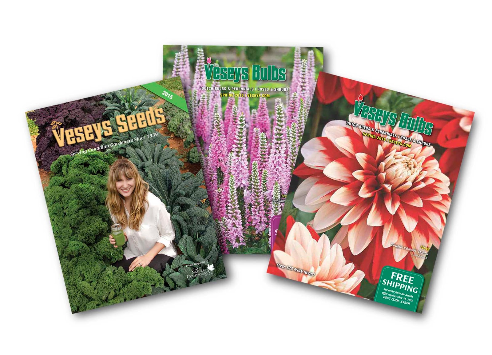 Un sac de semences pour fleurs sauvages GRATUIT